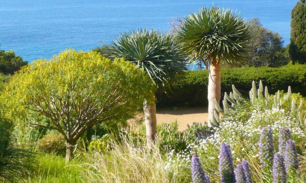 Hotel Beau Soleil Le Lavandou Exteriér fotografie